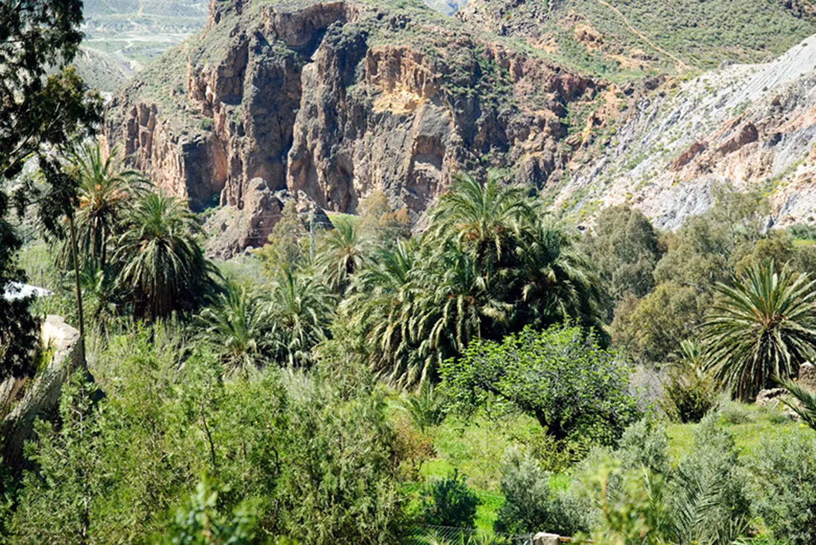 wsphoto Andalucía