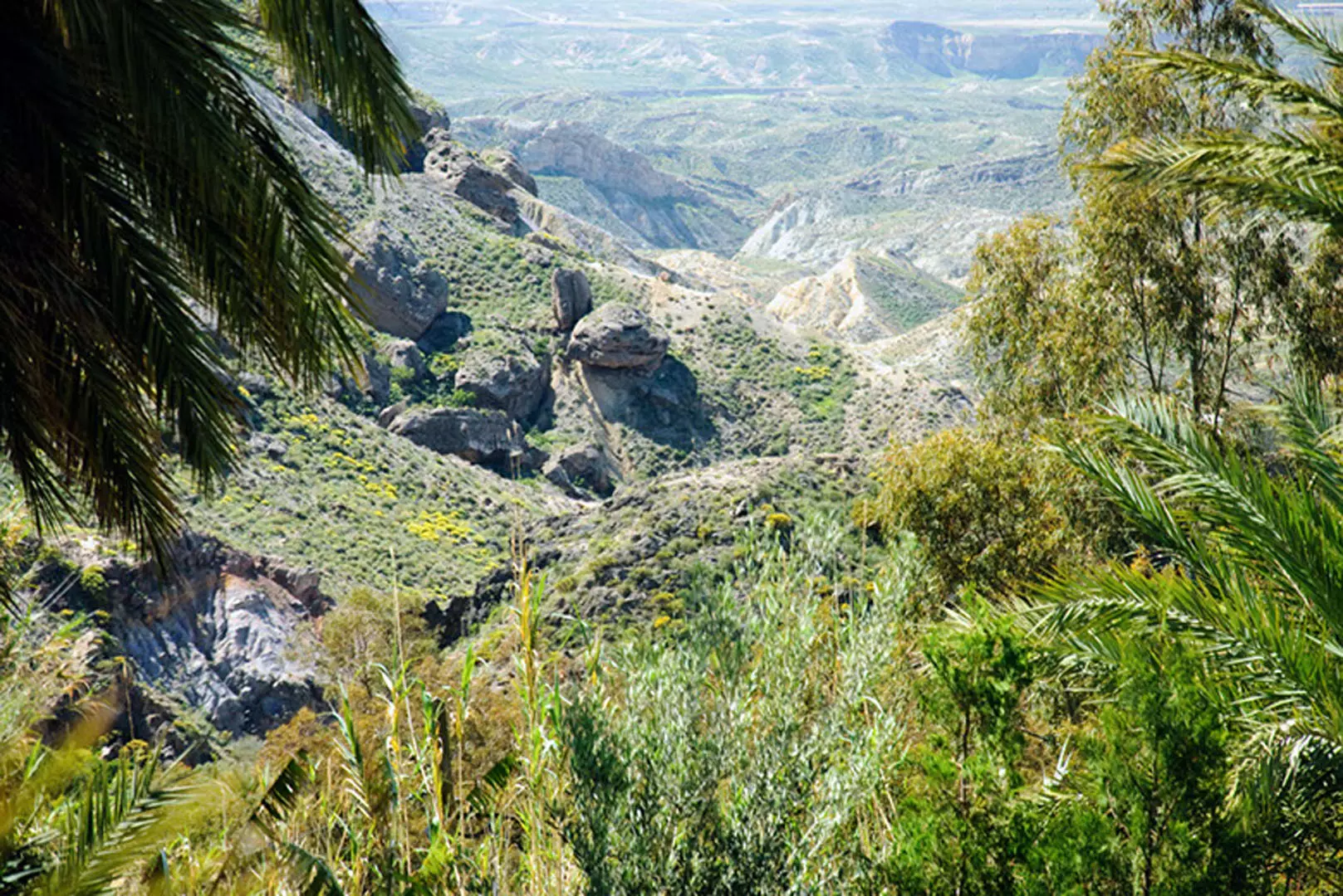 wsphoto Andalucía