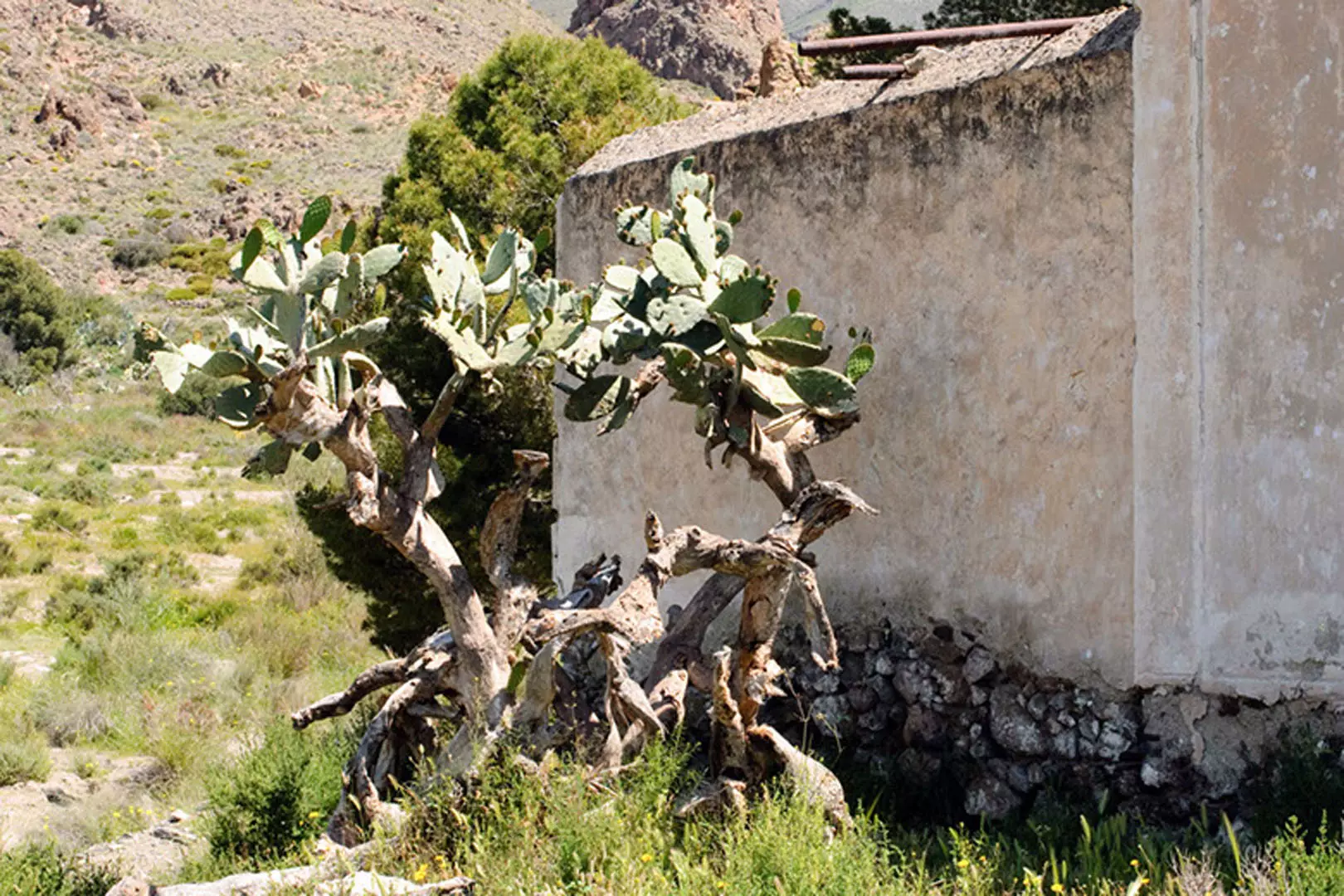 wsphoto Andalucía