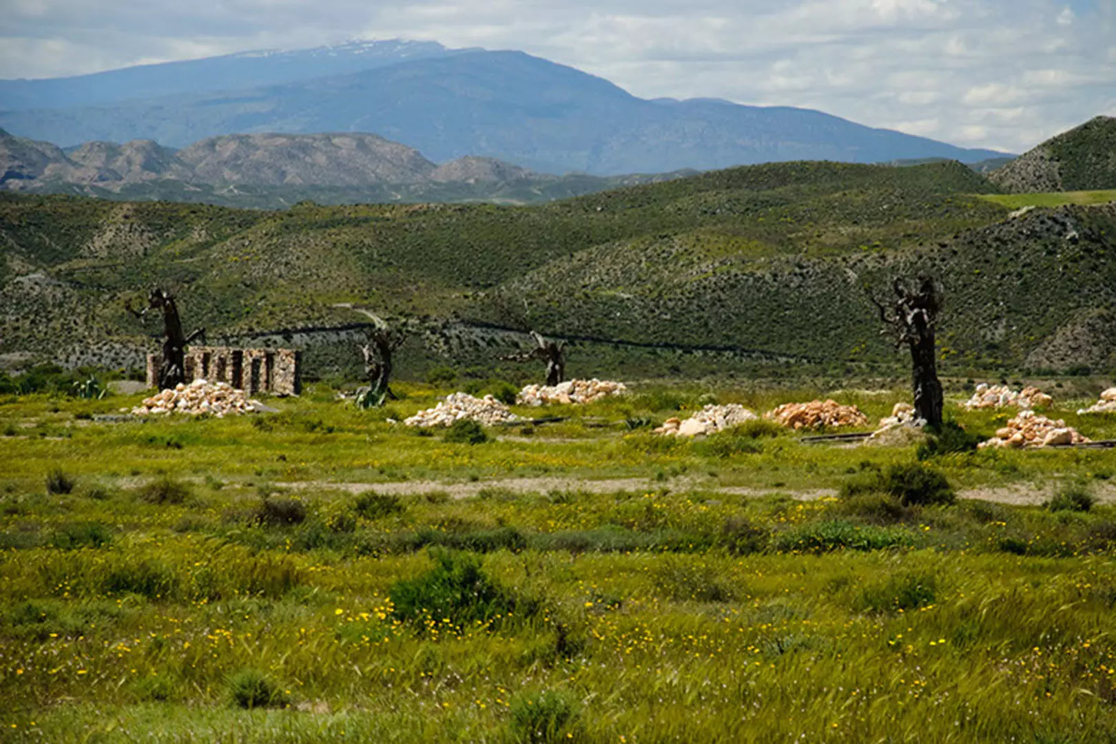 wsphoto Andalucía