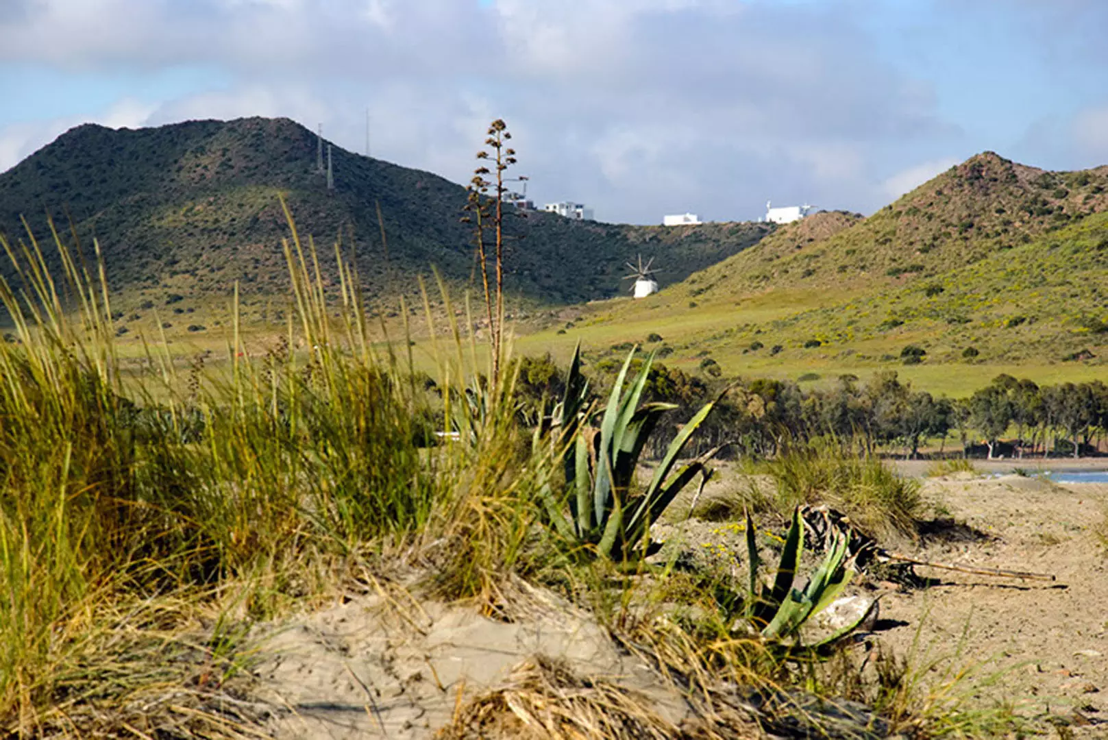 wsphoto Andalucía