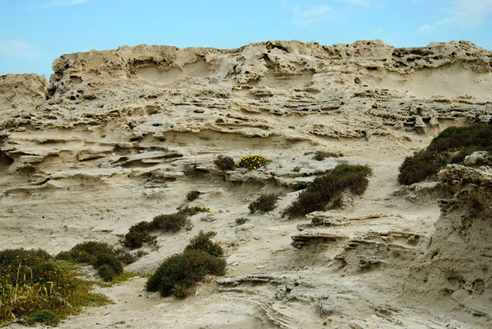 wsphoto Andalucía