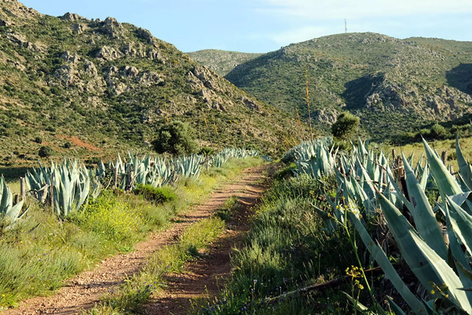 wsphoto Andalucía