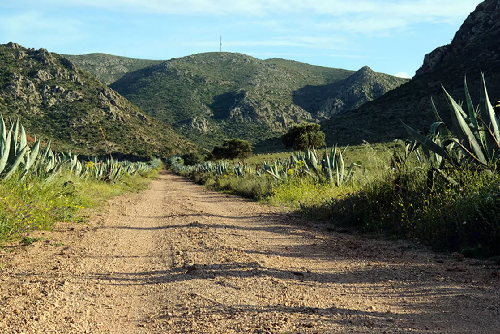 wsphoto Andalucía