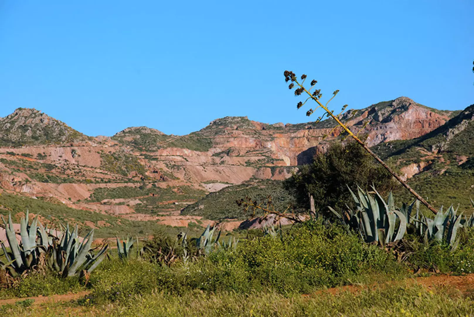 wsphoto Andalucía