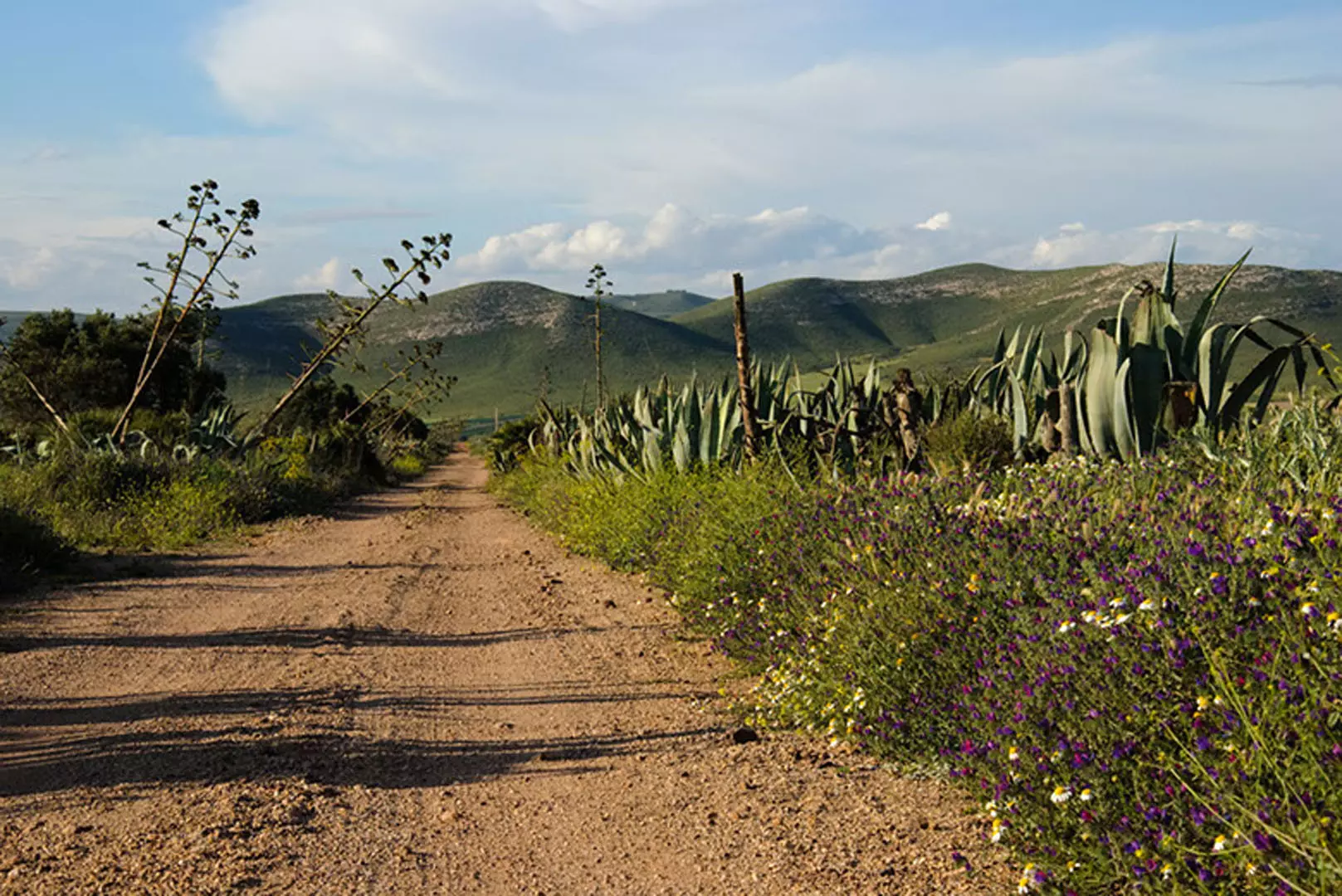 wsphoto Andalucía