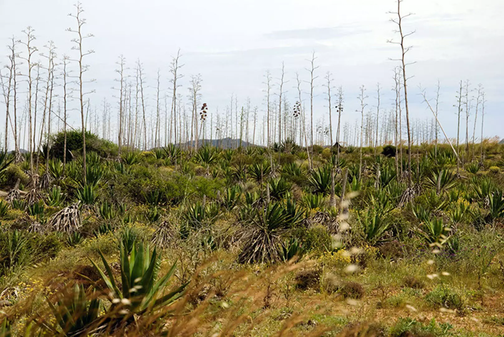 wsphoto Andalucía