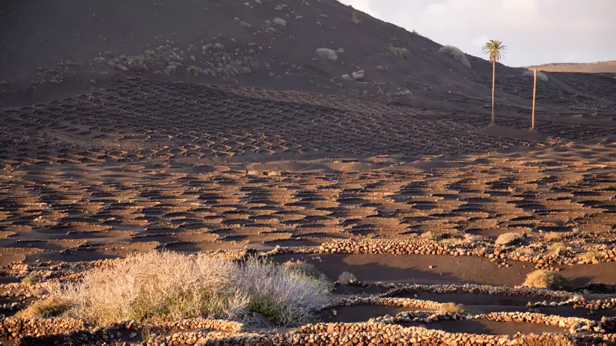 wsphoto Lanzarote