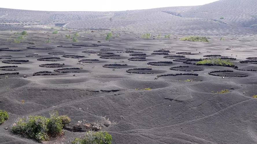 wsphoto Lanzarote