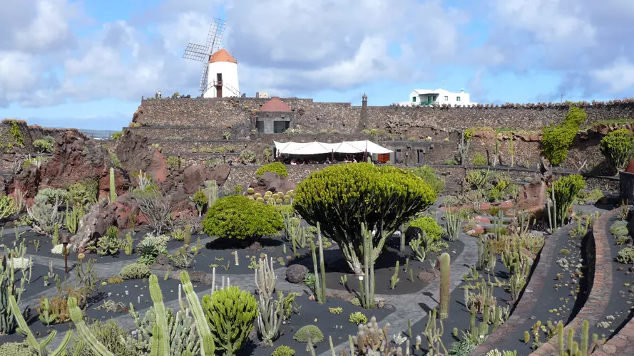 wsphoto Lanzarote