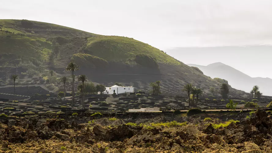 wsphoto Lanzarote