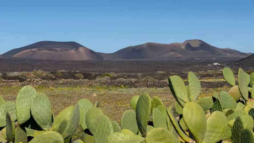 wsphoto Lanzarote