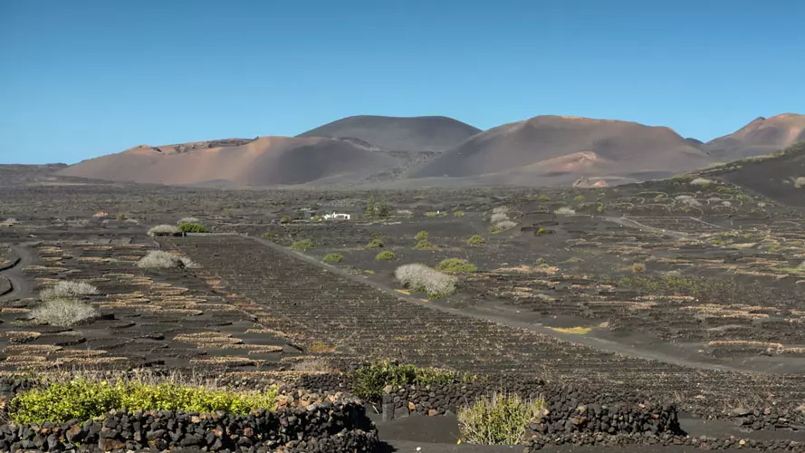 wsphoto Lanzarote