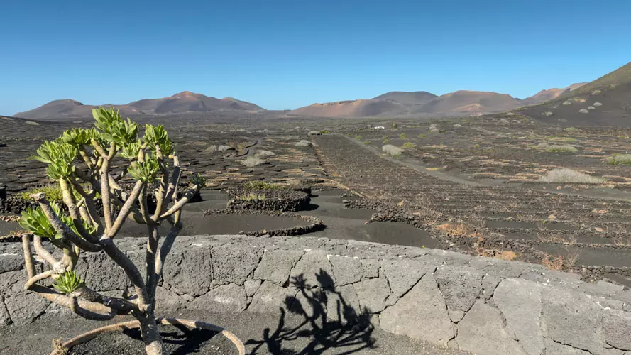 wsphoto Lanzarote