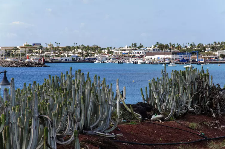 wsphoto Lanzarote