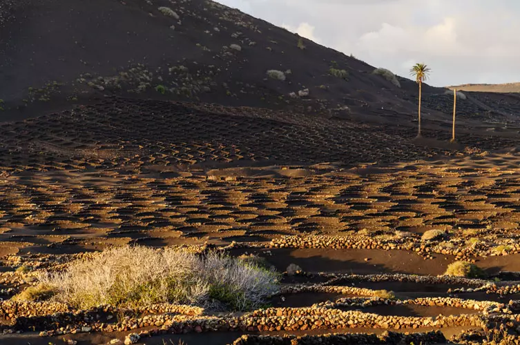 wsphoto Lanzarote