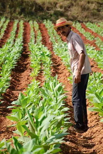 wsphoto Cuba