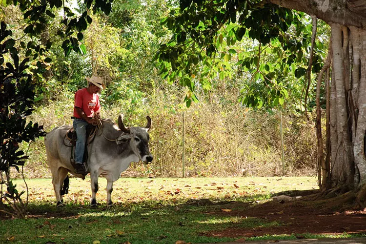 wsphoto Cuba