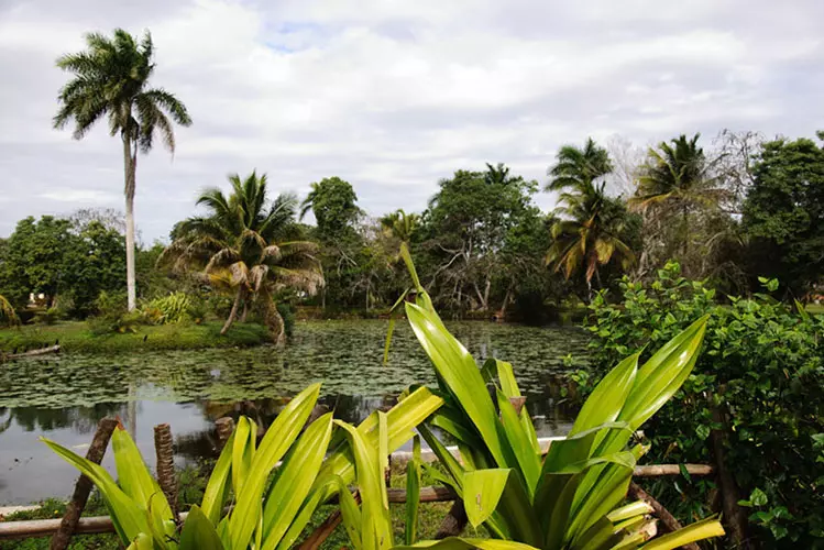 wsphoto Cuba