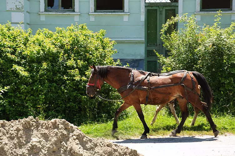 wsphoto Romania