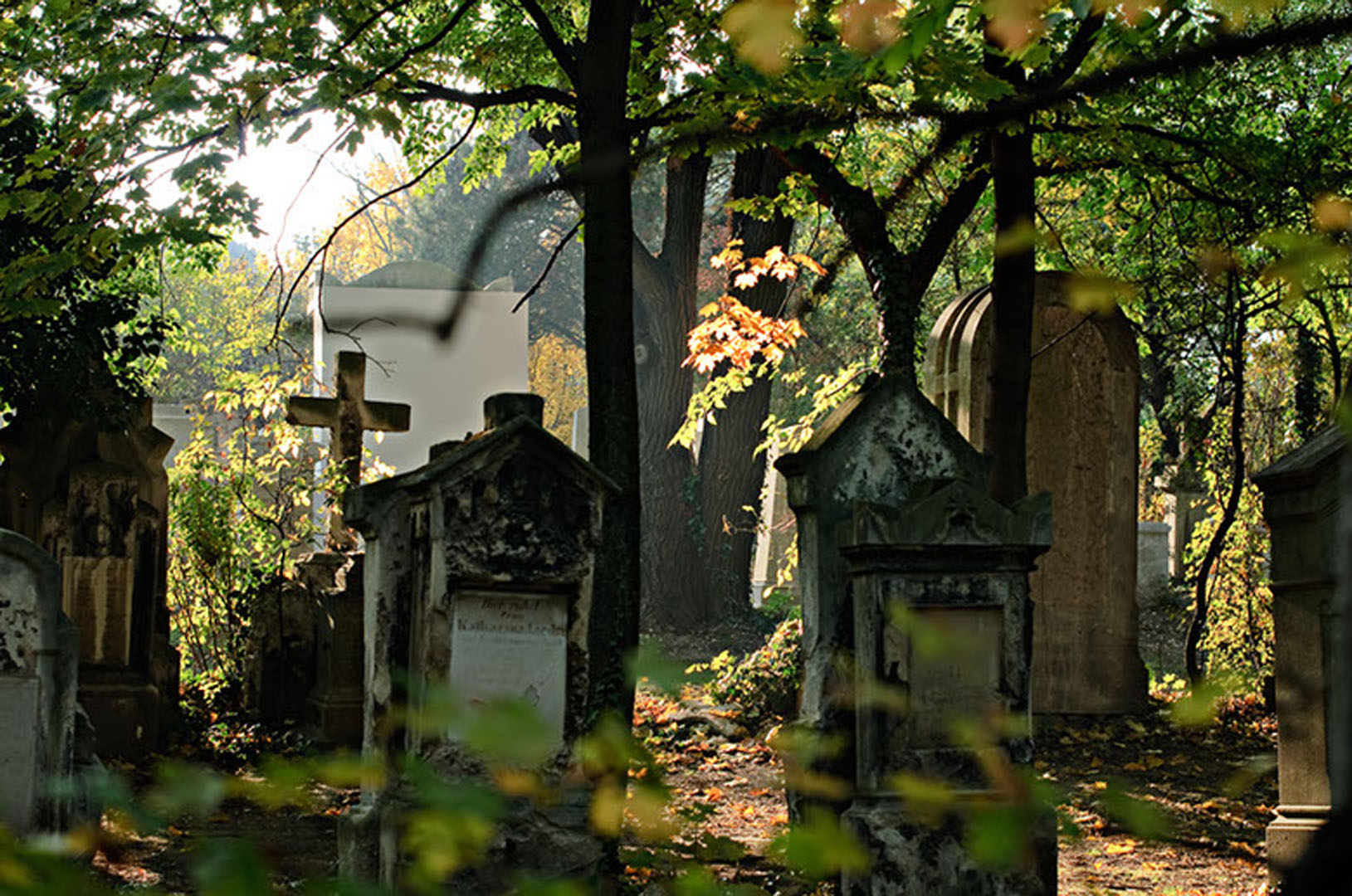 wsphoto Biedermeier Friedhof 