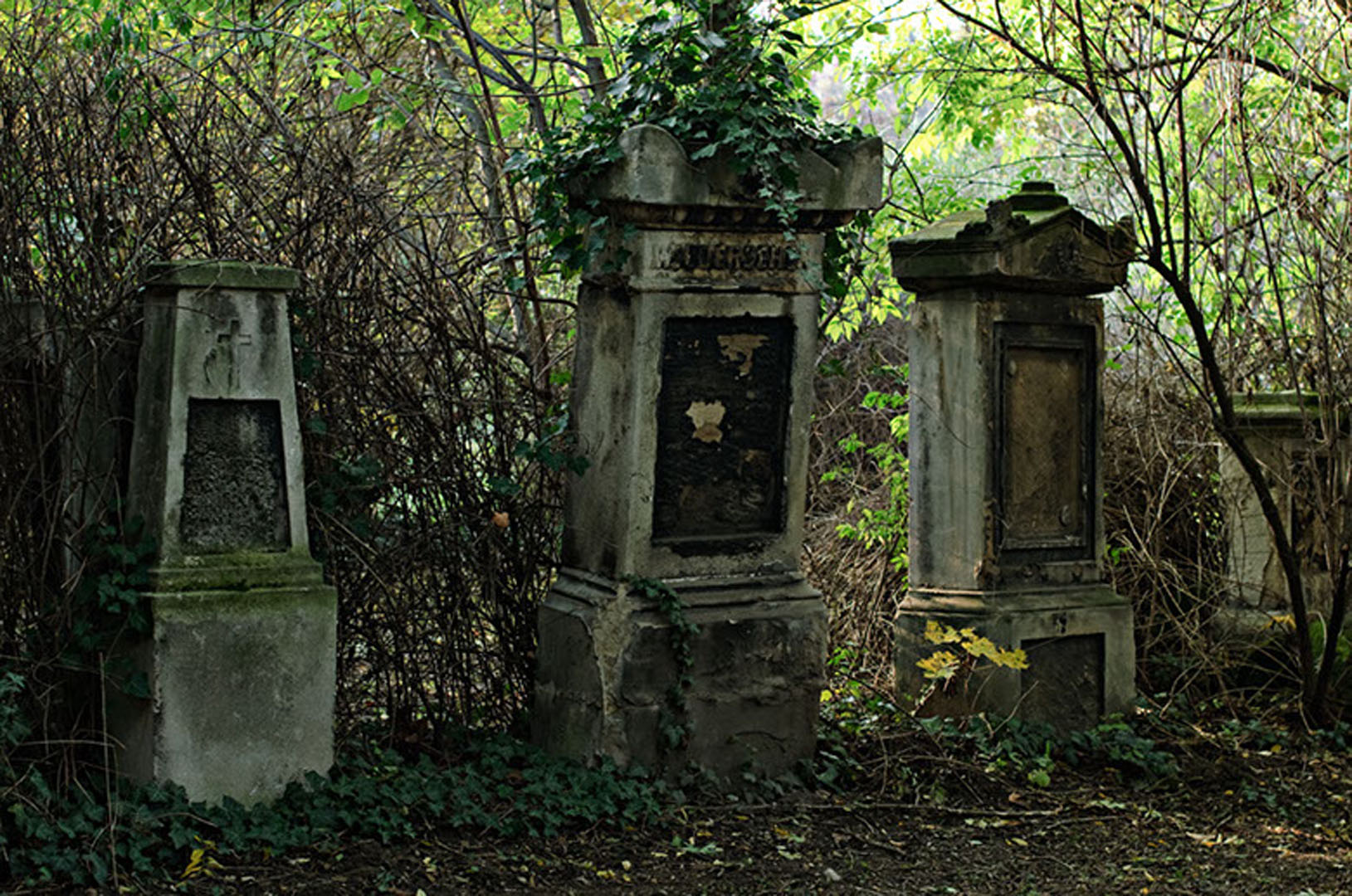 wsphoto Biedermeier Friedhof 