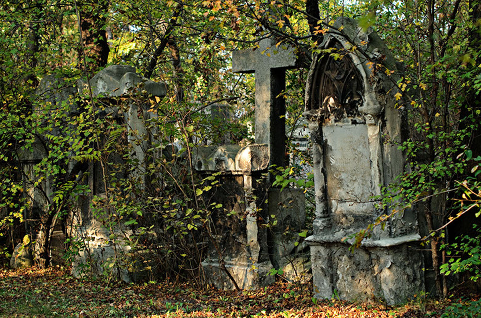 wsphoto Biedermeier Friedhof 