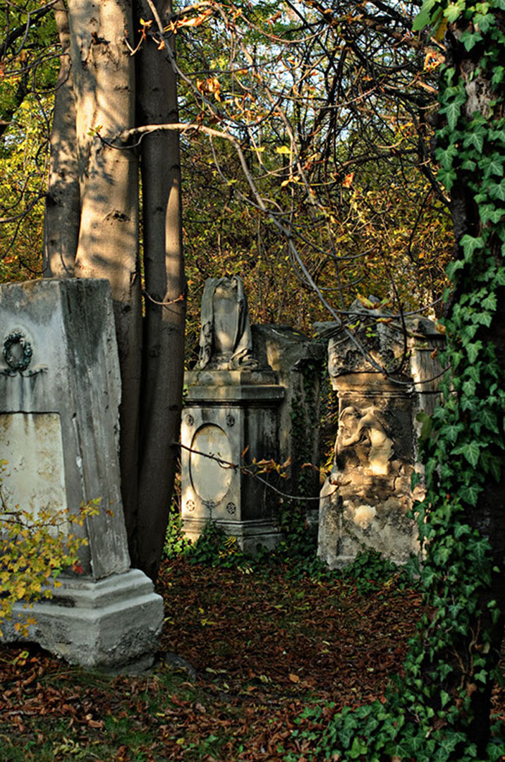 wsphoto Biedermeier Friedhof 