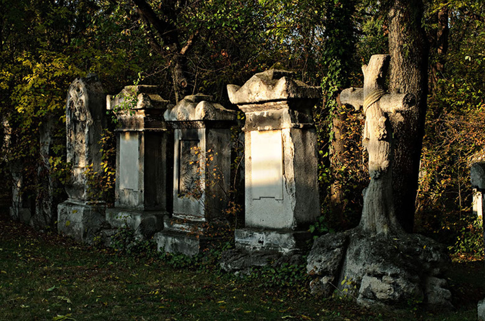 wsphoto Biedermeier Friedhof 